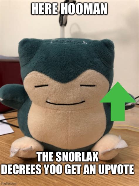 Snorlax Memes And S Imgflip
