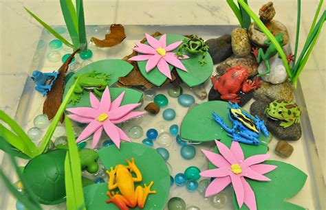 Frog Habitat School Project