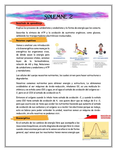 Bioquimica Solemne Clases Completas Solemne Resultado De