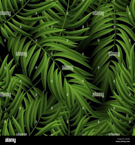 Seamless Tropical Jungle Floral Pattern With Palm Fronds Vector