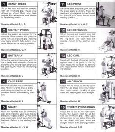 Weider 2980 Home Gym Exercise Chart - Exercise Poster