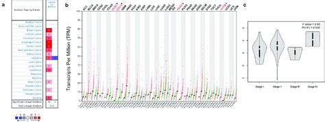 Panx Expression Levels In Different Types Of Human Cancers A