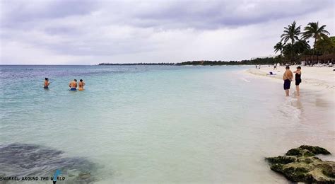 Snorkeling in Akumal - What to See, Where to go Tips