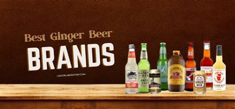 15 Best Ginger Beer Brands To Try (2024 Edition)