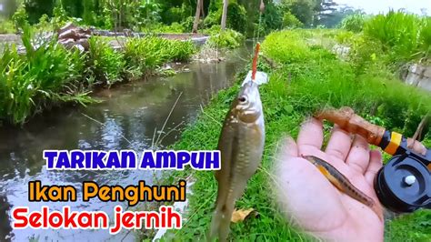 Dekat Kuburan Ternyata Spot Ini Di Huni Bnyak Ikan Micro Mancing