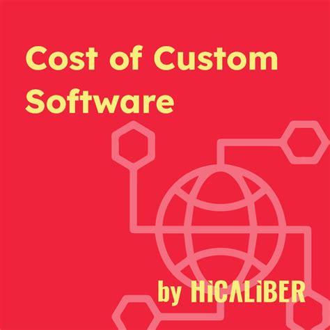 Costs of Custom Software - Hicaliber