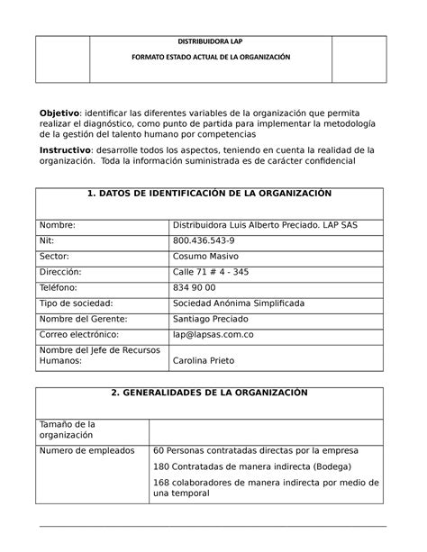 Formato Diagnostico Organizacional Formato Estado Actual De La OrganizaciÓn Objetivo