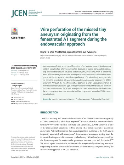 PDF Wire Perforation Of The Missed Tiny Aneurysm Originating From The