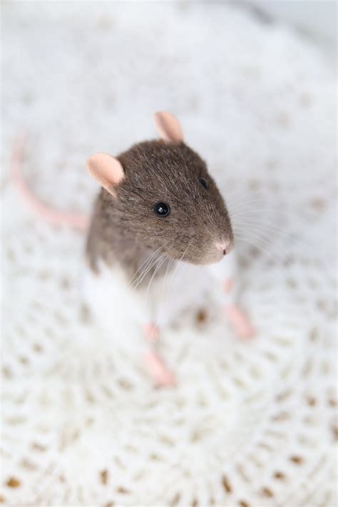 Plush Rat Figurine Agouti Rat Stray Rat Personalized Plush Etsy