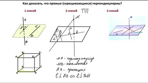 №14. ЕГЭ профиль. Перпендикулярные прямые. Угол между скрещивающимися ...
