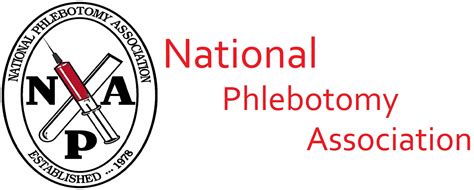 The Best Phlebotomy Certification Programs In 2022