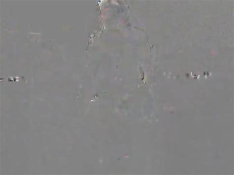 Collared Sissy Slave In Chastity Is Horny