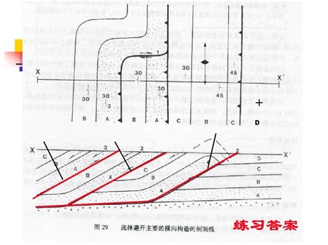 《中国区域地质学》3板块沉积学与构造古地理分析word文档在线阅读与下载无忧文档