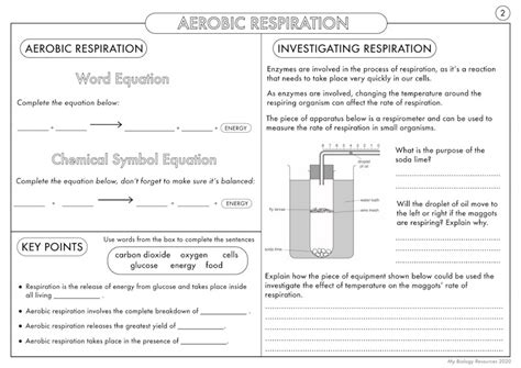 New Gcse Biology Aerobic And Anaerobic Respiration Teaching Resources