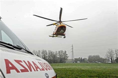 Taglia Albero Di Noce Nel Bosco Travolto Da Tronco Morto Gabriele