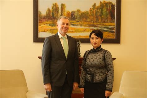 Замглавы МИД приняла посла Австрии