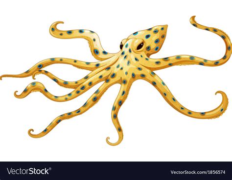 Blue-ringed octopus Royalty Free Vector Image - VectorStock