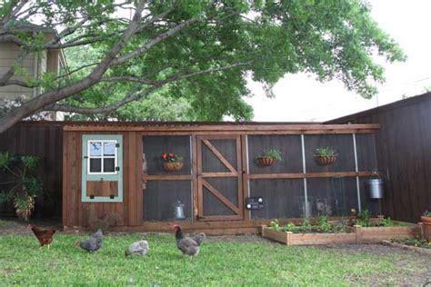 10 Ways To Build a Better Chicken Coop That is Safe and Secure - This ...