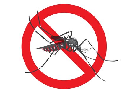 Medidas De Combate Dengue Spsp