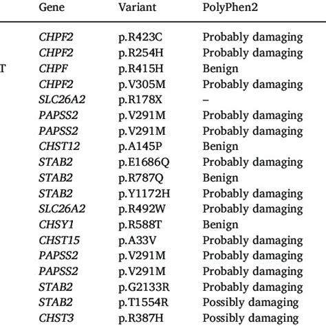 Subsequent Steps In Chondroitin Sulfate Cs Biogenesis Steps And