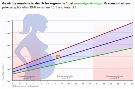 Gewichtszunahme Schwangerschaft