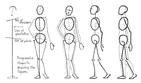 Session 5 Foreshortening & the Figure