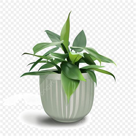 Green Potted Plants PNG Picture Small Leaf Green Desktop Potted Plants