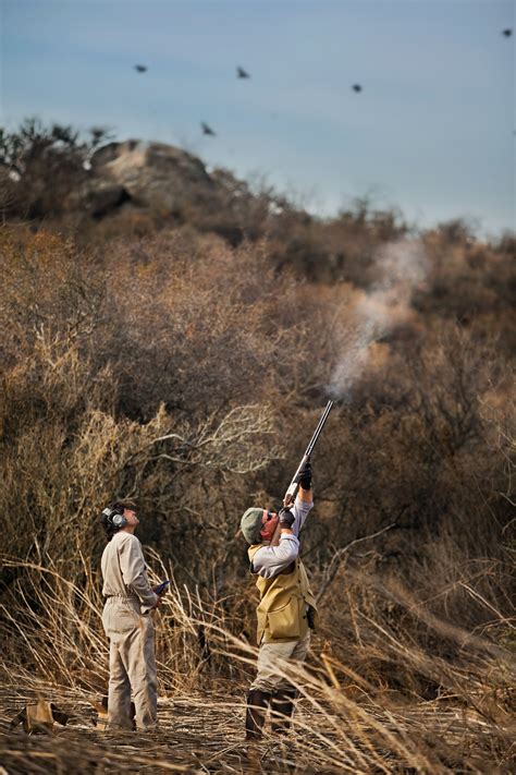 Argentina Dove Hunting - Guided Dove Hunting in Argentina.