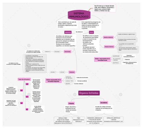 Pdf Sistema InmunolÓgico