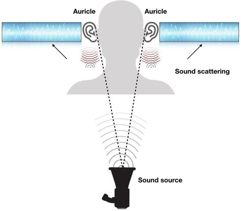 Schematic diagram of acoustic scattering | Download Scientific Diagram 