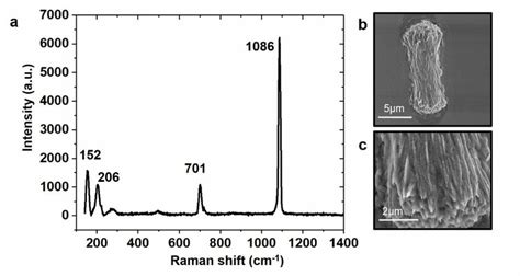 Raman Spectrum A And The Corresponding Sem Images Of Aragonite