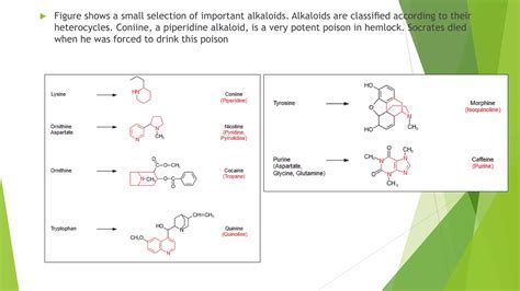 Plant Alkaloids Their Functions And Biosynthesis Ppt