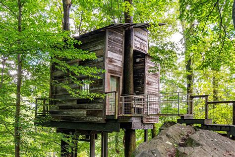 Treetop Hideaways | Treehouse Rentals in Tennessee