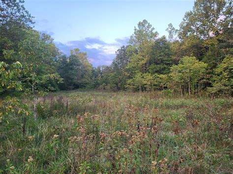Ava, Douglas County, MO Undeveloped Land, Lakefront Property