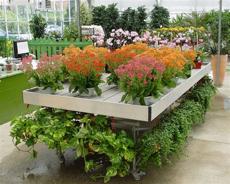 Qu Es Una Mesa De Cultivo Para Huertos Fertri Invernaderos