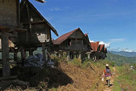 Keindahan Wisata Bangunan Lumbung Padi Di Sulawesi Selatan