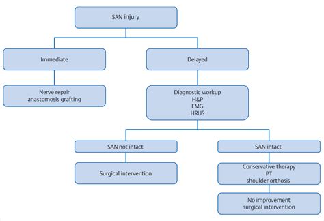 11 Cranial Nerve XI: Spinal Accessory Neuropathy | Neupsy Key