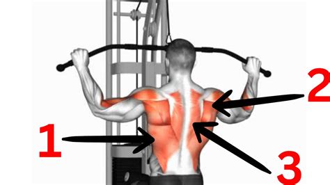 5 Essential Back Gym Exercises For Strength And Posture Youtube