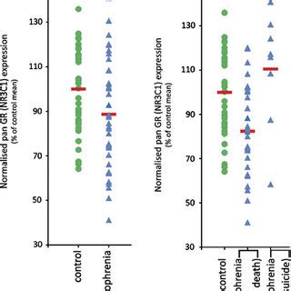 Pan Glucocorticoid Receptor Gr Mrna Expression In The Dorsolateral