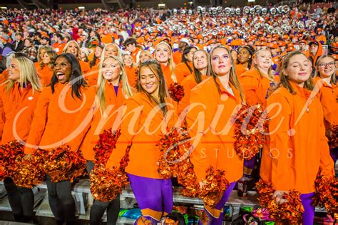 Clemson At South Carolina Photos By Tamara Sloan Tigerbandmedia