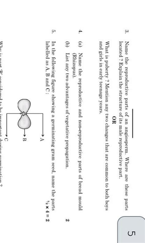 3 Name The Reproductive Parts Of An Angiosperm Where Are These Parts Lo