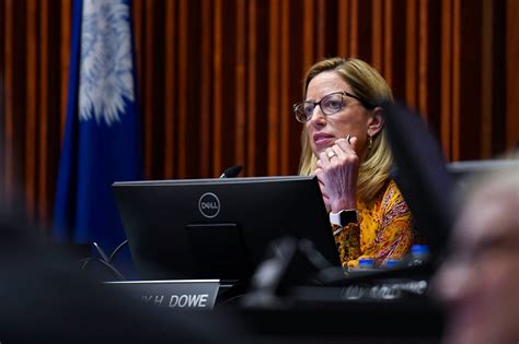 Greenville mayoral, city council candidates discuss issues, plans