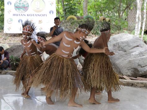 Dampak Otsus Masyarakat Adat Papua Kehilangan Tanah Dan Tempat Sakral