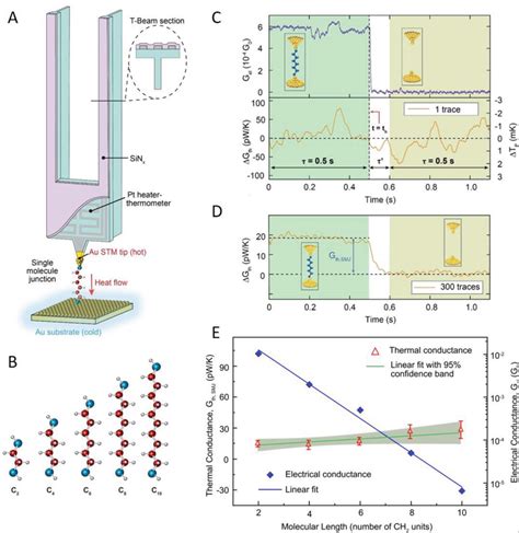 Thermal Conductance Measurements Of Single Aualkanedithiolau