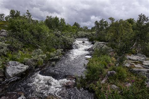 Hiking In Fulufj Llet National Park Sweden Simply Human Francois