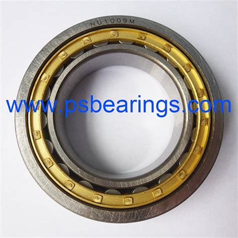 Nu Series Steel Cage Cylindrical Roller Bearings Ps Bearings Mfg Limited