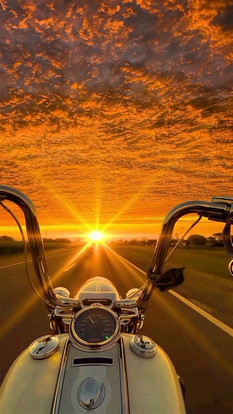 adventure nature wildlife travel traveller photography climate