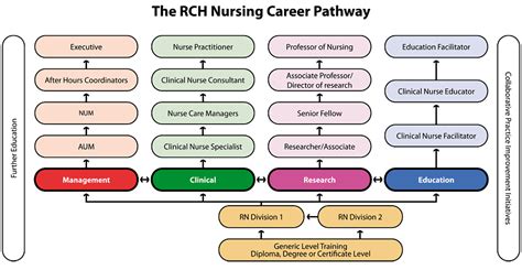 12 Examples Of Health Career Pathways