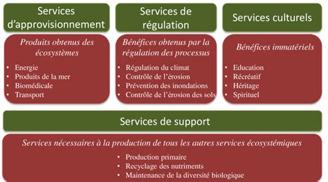 Description Des Services écosystémiques Daprès Le Millenium Ecosystem