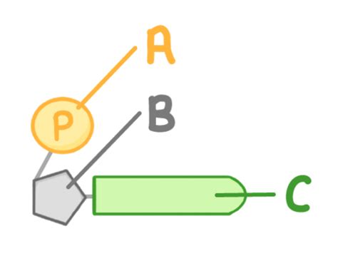 Inheritance Variation And Evolution Flashcards Quizlet